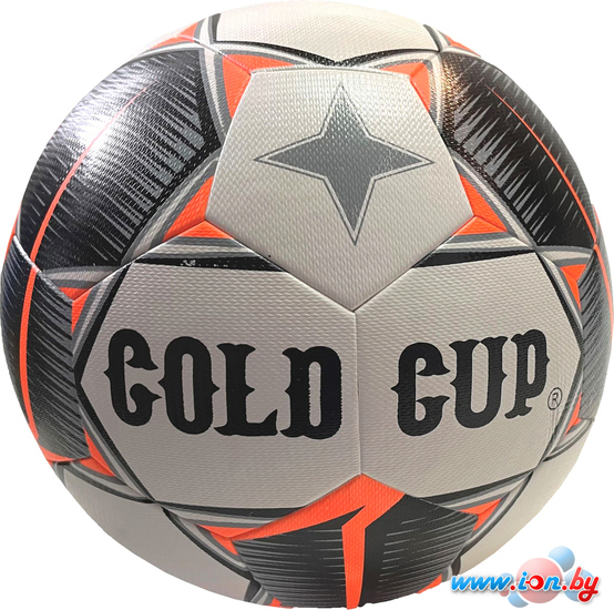 Футбольный мяч Gold Cup Semi-1 (5 размер) в Могилёве
