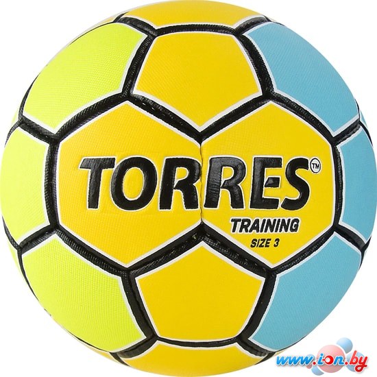 Гандбольный мяч Torres Training H32153 (3 размер) в Бресте