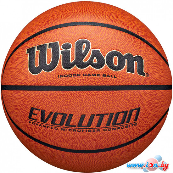 Баскетбольный мяч Wilson Evolution WTB0516E7 (7 размер) в Бресте