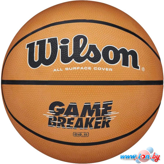 Баскетбольный мяч Wilson Gamebreaker WTB0050XB07 (7 размер) в Гомеле