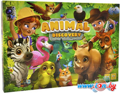 Детская настольная игра Danko Toys Animal Discovery G-AD-01-01 в Могилёве