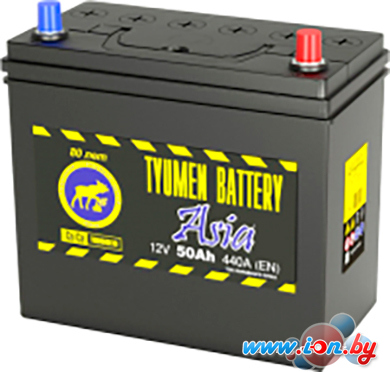 Автомобильный аккумулятор Tyumen Battery 440A 6CT-50L (50 А·ч) в Бресте