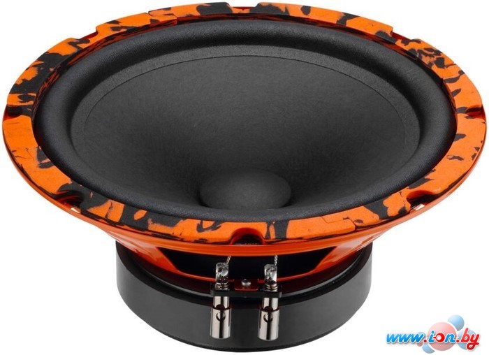 Мидбас DL Audio Gryphon Pro 200 Midbass в Бресте