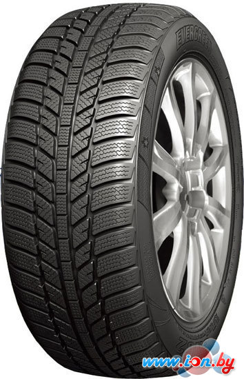 Автомобильные шины Evergreen EW62 195/55R16 87H в Витебске