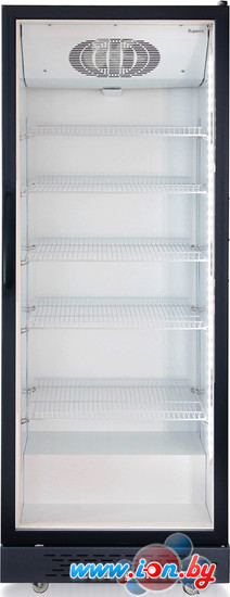 Торговый холодильник Бирюса B500DU в Минске