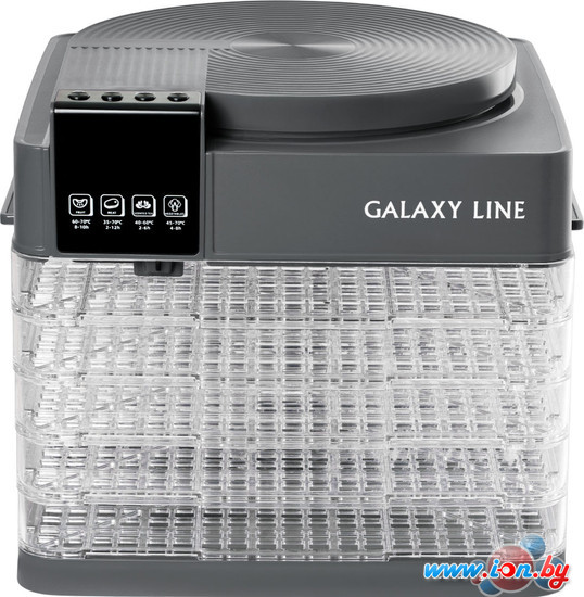 Сушилка для овощей и фруктов Galaxy Line GL2630 (серый) в Гомеле