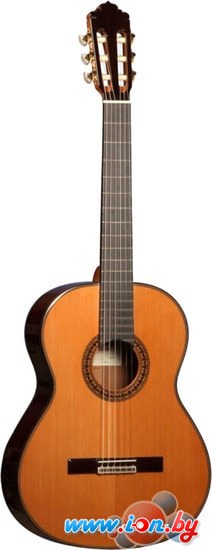Акустическая гитара Almansa Conservatory 457R в Могилёве