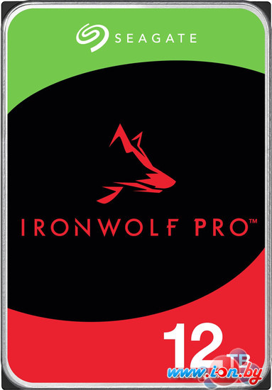 Жесткий диск Seagate IronWolf Pro 12TB ST12000NT001 в Гомеле