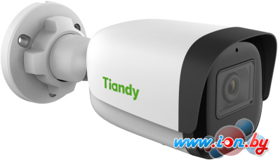 IP-камера Tiandy TC-C38WS I5/E/Y/M/2.8mm/V4.0 в Витебске