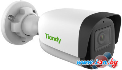 IP-камера Tiandy TC-C32WN I5/E/Y/4mm/V4.1 в Бресте