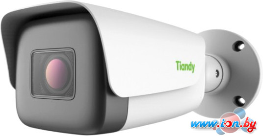 IP-камера Tiandy TC-C35TS I8/A/E/Y/M/H/2.7-13.5mm V4.1 в Могилёве