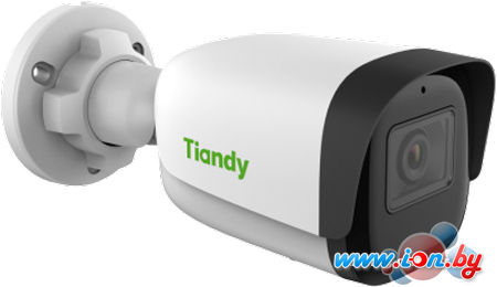 IP-камера Tiandy TC-C32WN I5/E/Y/M/2.8mm/V4.1 в Гродно