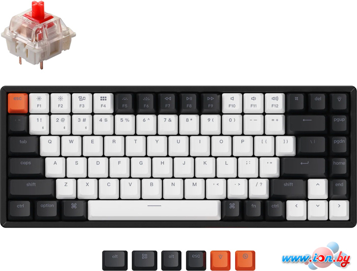 Клавиатура Keychron K2 V2 RGB K2-C1H-RU (Gateron G Pro Red) в Бресте