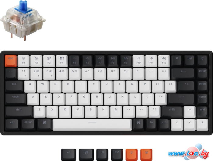 Клавиатура Keychron K2 V2 RGB K2-C2H-RU (Gateron G Pro Blue) в Могилёве