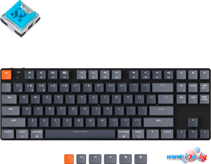 Клавиатура Keychron K1 SE RGB K1SE-E2-RU (Keychron Low Profile Optical Blue) в Могилёве