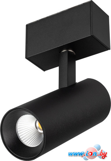 Трековый светильник Arlight MAG-SPOT-45-R85-12W 032647 в Гродно