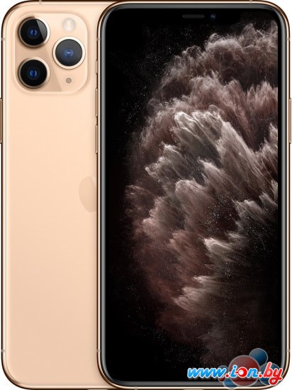 Смартфон Apple iPhone 11 Pro Max 256GB Восстановленный by Breezy, грейд B (золотистый) в Минске