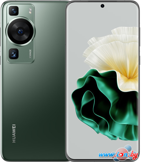 Смартфон Huawei P60 LNA-LX9 8GB/256GB (зеленый) в Минске