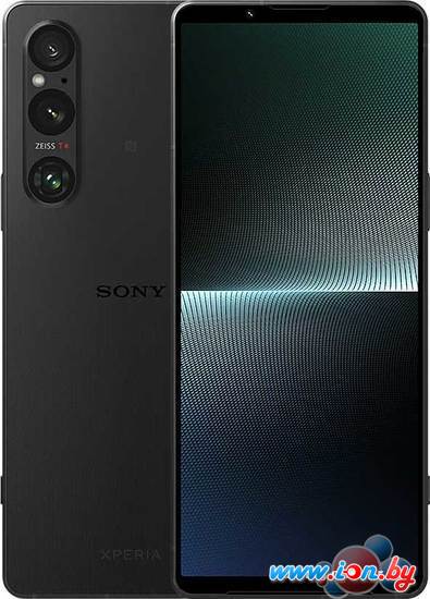 Смартфон Sony Xperia 1 V XQ-DQ72 12GB/256GB (черный) в Могилёве