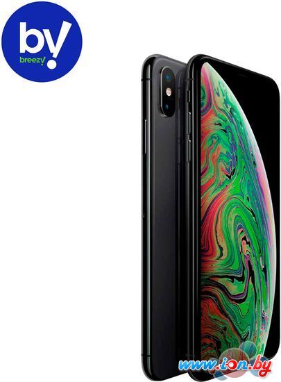 Смартфон Apple iPhone XS Max 64GB Восстановленный by Breezy, грейд B (серый космос) в Гродно