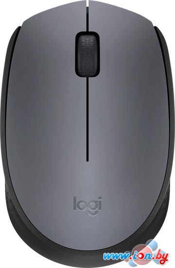 Мышь Logitech M171 (графит) в Гомеле