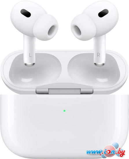 Наушники Apple AirPods Pro 2 (с разъемом USB Type-C) в Бресте