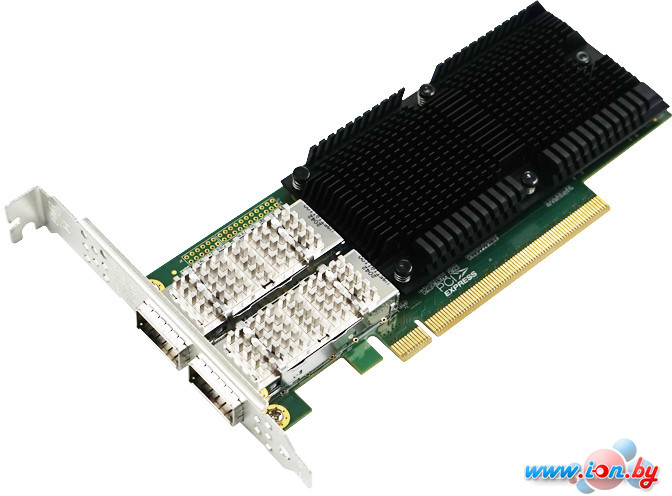 Сетевой адаптер LR-Link LRES1014PF-2QSFP28 в Гродно