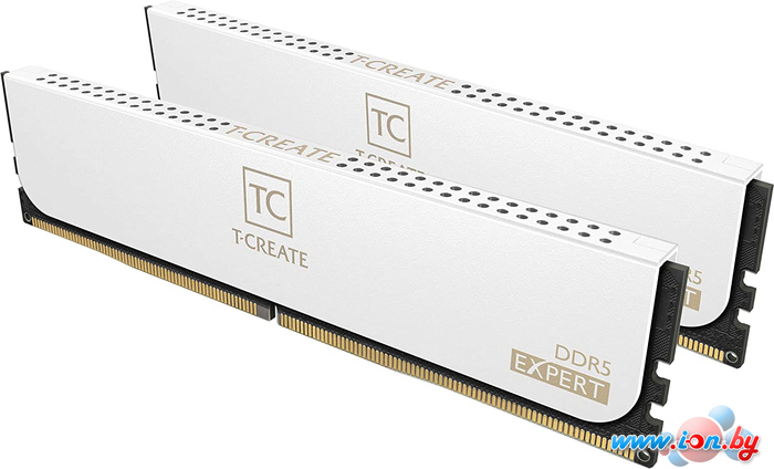 Оперативная память Team T-Create Expert 2x16ГБ DDR5 6400 МГц CTCWD532G6400HC32ADC01 в Могилёве