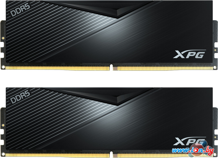 Оперативная память ADATA XPG Lancer 2x32ГБ DDR5 5600МГц AX5U5600C3632G-DCLABK в Бресте