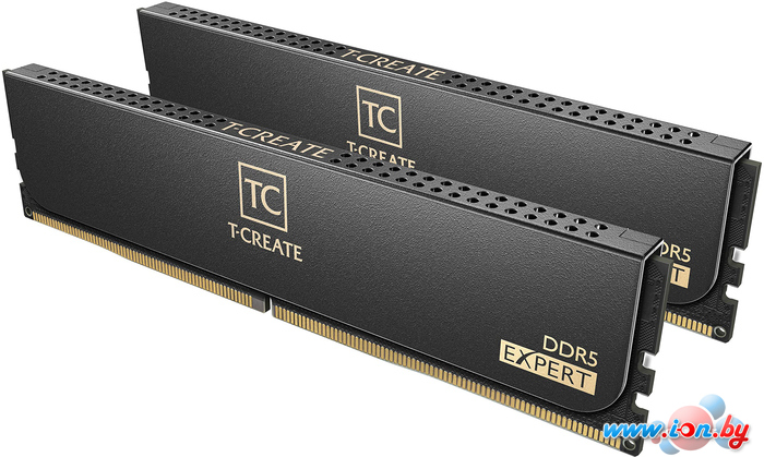 Оперативная память Team T-Create Expert 2x16ГБ DDR5 6000 МГц CTCED532G6000HC30DC01 в Гомеле