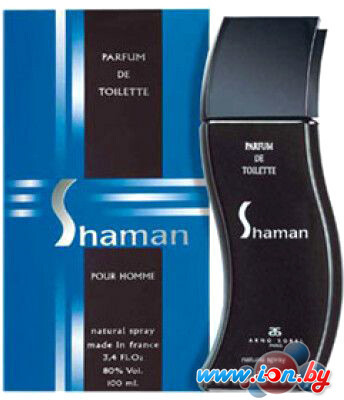 Туалетная вода Arno Sorel Shaman Spirit Man EdT (100 мл) в Бресте