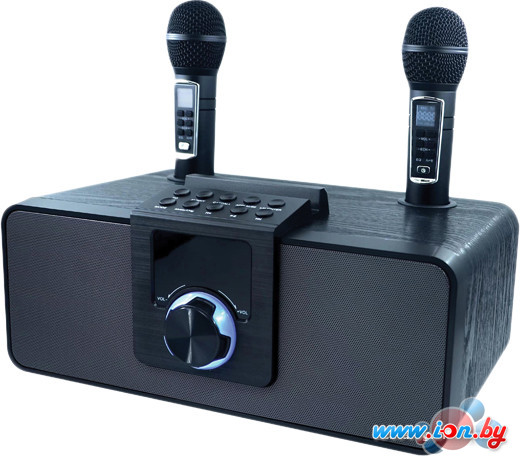 Беспроводная колонка Ritmix SP-660B в Могилёве