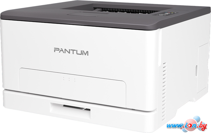 Принтер Pantum CP1100 в Бресте