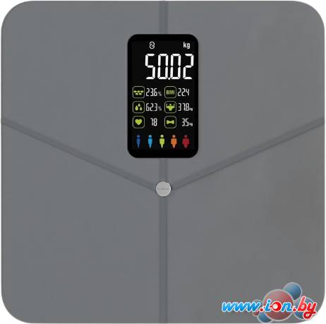 Напольные весы SecretDate Smart SD-IT02CG в Могилёве