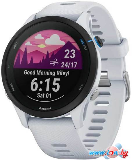 Умные часы Garmin Forerunner 255 Music 46 мм (белый камень) в Бресте