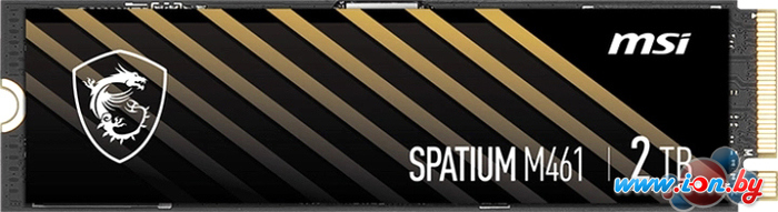 SSD MSI Spatium M461 2TB S78-440Q550-P83 в Минске