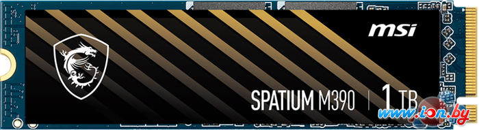 SSD MSI Spatium M390 1TB S78-440L890-P83 в Могилёве