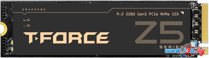 SSD Team T-Force Cardea Z540 2TB TM8FF1002T0C129 в Гродно