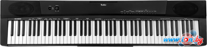 Цифровое пианино Tesler KB-8860 в Могилёве
