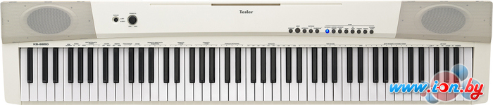Цифровое пианино Tesler KB-8850 (белый) в Гомеле