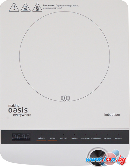 Настольная плита Oasis (Making Oasis Everywhere) PI-W3SK в Бресте