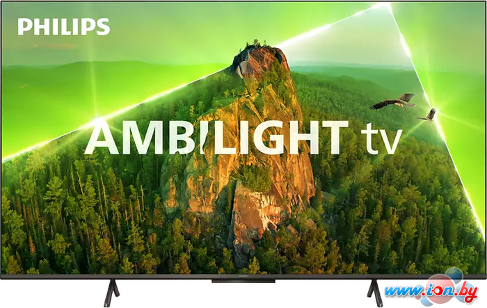 Телевизор Philips 55PUS8108/60 в Минске