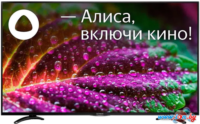 Телевизор IRBIS 50U1YDX185BS2 в Бресте