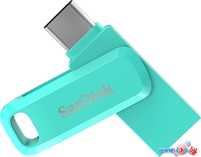 USB Flash SanDisk Ultra Dual Drive Go Type-C 64GB SDDDC3-064G-G46G в Бресте