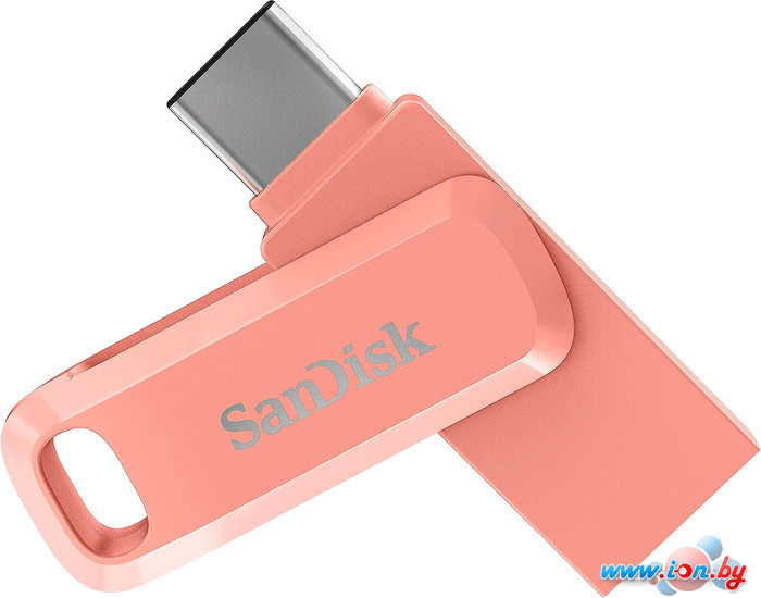 USB Flash SanDisk Ultra Dual Drive Go Type-C 64GB SDDDC3-064G-G46PC в Бресте