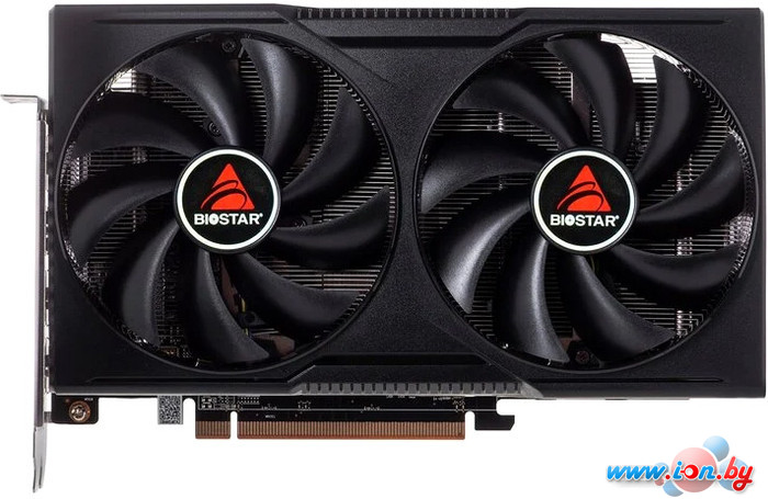 Видеокарта BIOSTAR Radeon RX 7600 8GB GDDR6 VA7606RM81 в Бресте