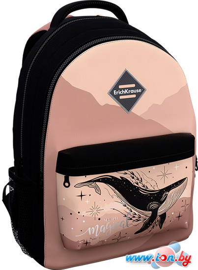 Школьный рюкзак Erich Krause EasyLine 20L Moon Dreams 60310 в Витебске