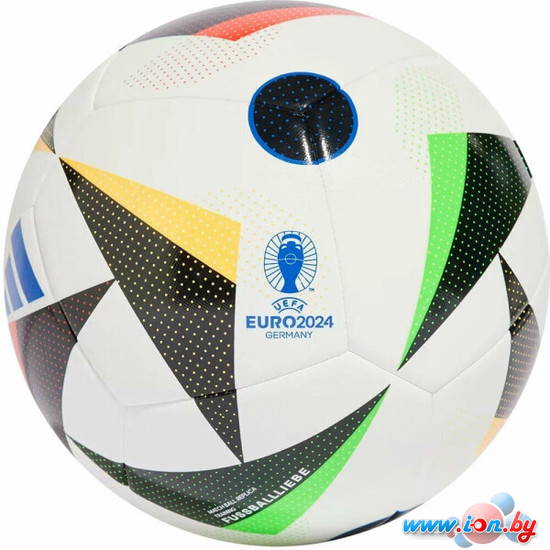 Футбольный мяч Adidas Euro24 Training IN9366 (4 размер) в Бресте