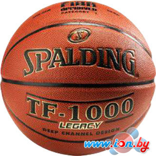 Баскетбольный мяч Spalding TF-1000 Legacy (6 размер) в Бресте