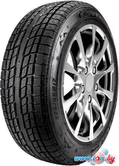 Зимние шины Centara Winter RX626 215/60R17 96T в Могилёве